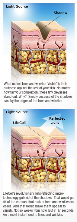 lifecell microtechnology skin cross section