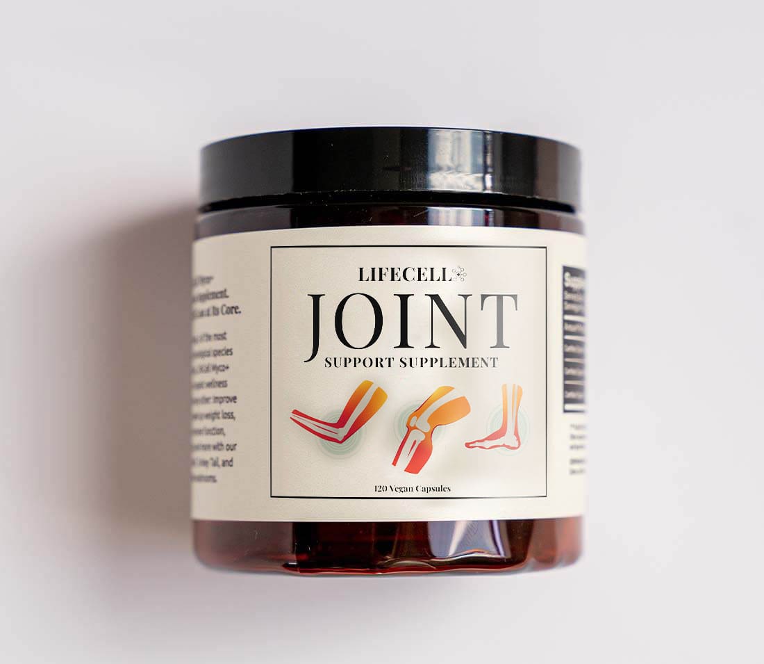 joint1 (1) Joint Support